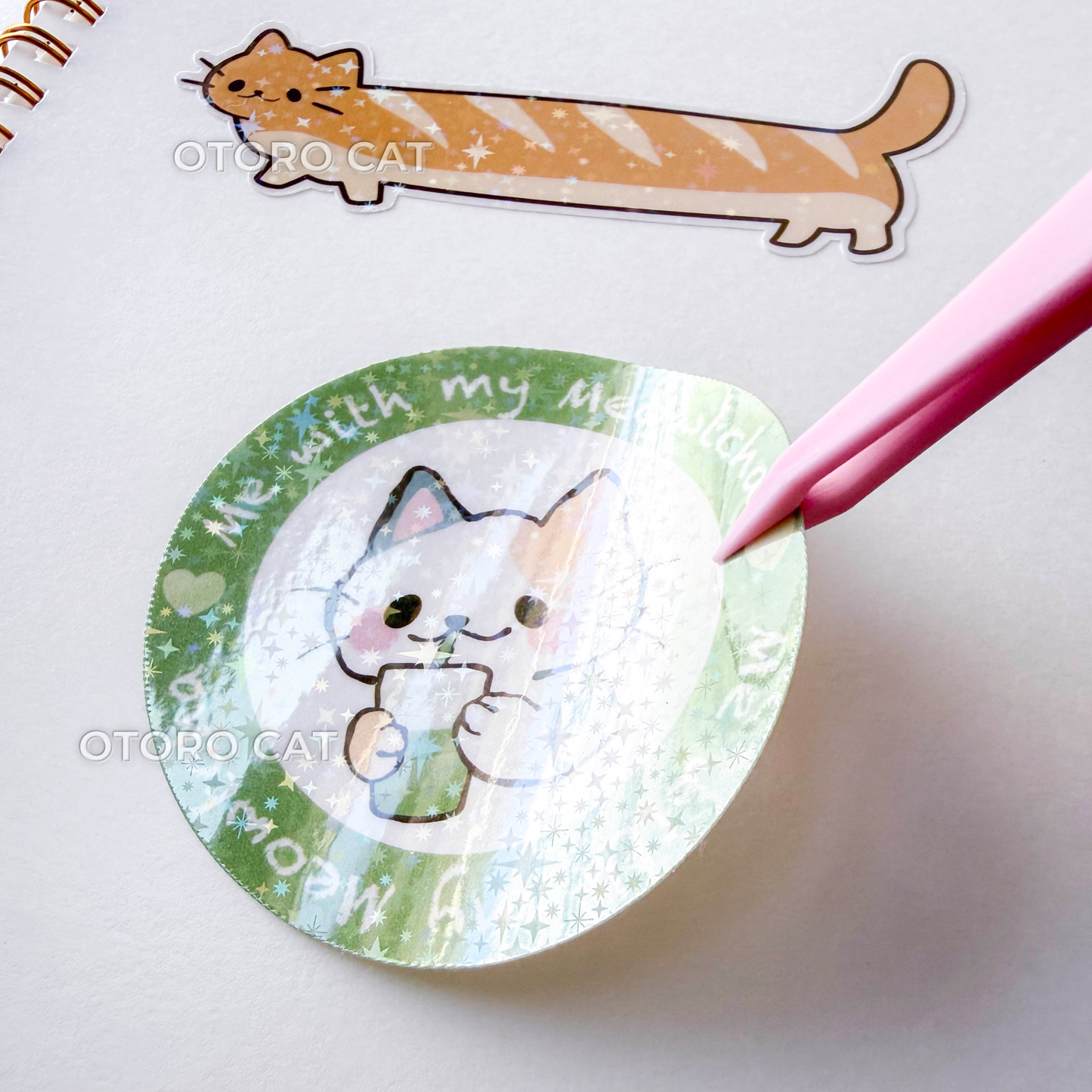 Cute Strawberry Cat Reusable Sticker Book – A5 Kawaii Bow Aesthetic Sticker Storage Album | 50 Double-Sided Release Paper Pages with Metal Spiral Binding