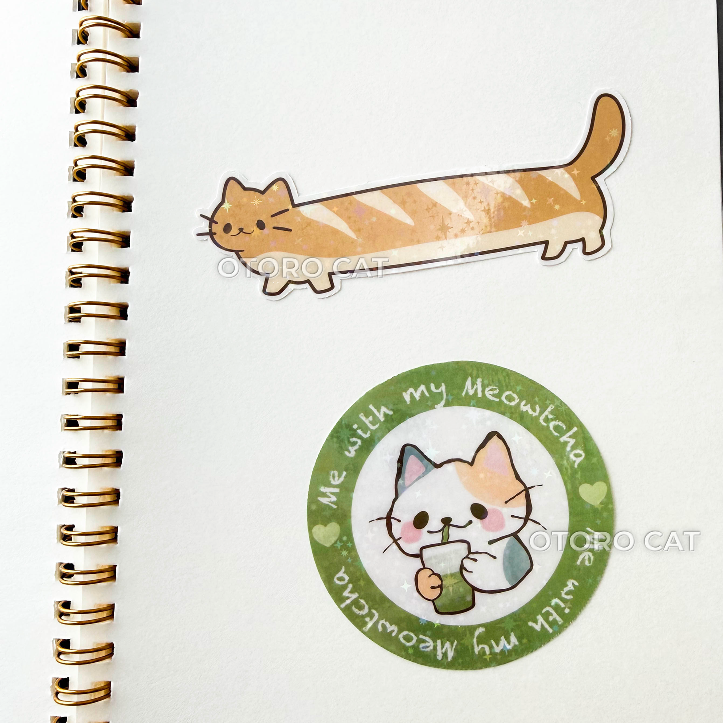 Cute Strawberry Cat Reusable Sticker Book – A5 Kawaii Bow Aesthetic Sticker Storage Album | 50 Double-Sided Release Paper Pages with Metal Spiral Binding
